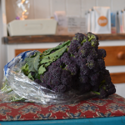 Purple stem broccoli -  Fresh & Locally Grown